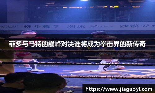 菲多与马特的巅峰对决谁将成为拳击界的新传奇