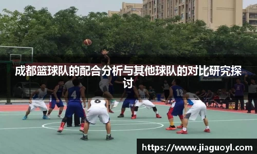 今年会平台入口